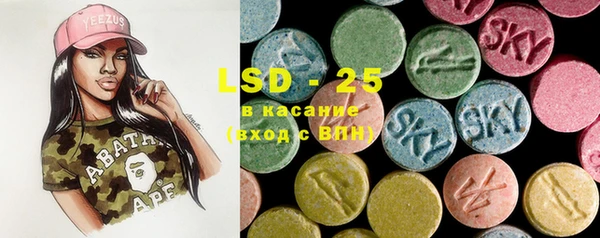 PSILOCYBIN Няндома