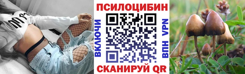 Галлюциногенные грибы Cubensis  что такое   Железноводск 