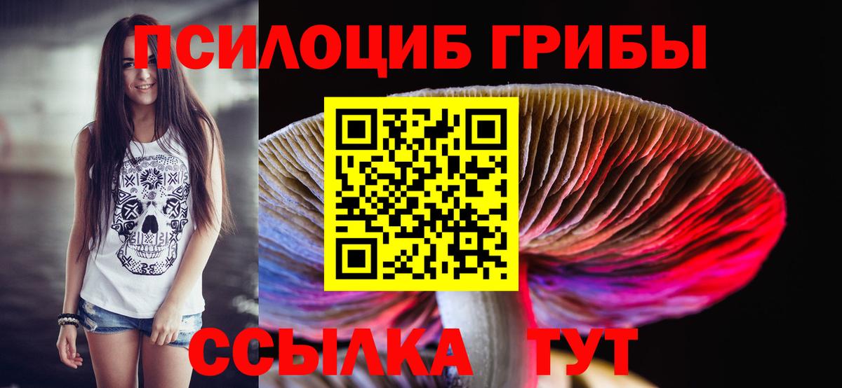Псилоцибиновые грибы ЛСД  Вход с VPN  Железноводск 