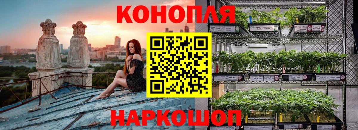 Конопля гибрид Железноводск